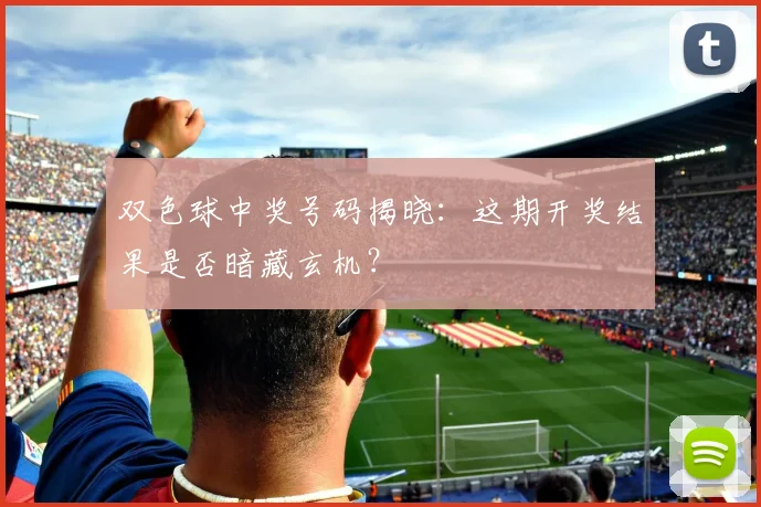 双色球中奖号码揭晓：这期开奖结果是否暗藏玄机？