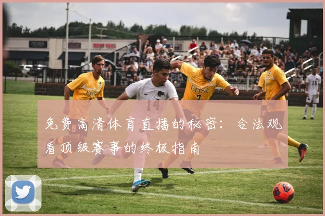 免费高清体育直播的秘密：合法观看顶级赛事的终极指南